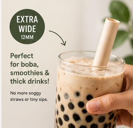 The Wild Turtle Sugarcane Straws, 100 Count