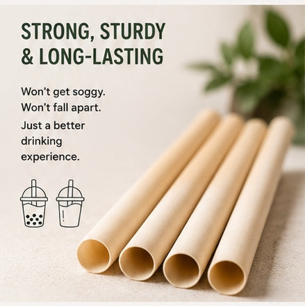 The Wild Turtle Sugarcane Straws, 100 Count
