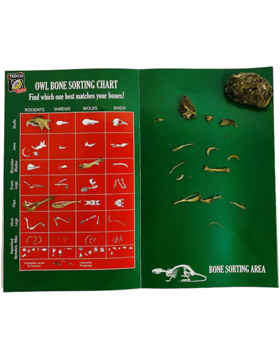 TedCo Toys Owl Puke - Barn Owl Pellet Dissection Kit #01900