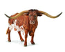 The Texas Longhorn is a breed of cattle known for its characteristic horns, which can extend to over 100 inches tip to tip for cows and bulls.