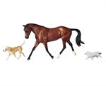 Breyer's 1807 Traditional Size Protocol Gift Set includes a Bay Warmblood Mare named Protocol and Two Rescue Dogs in a complete gift set. Perfect for horse crazy kids ages 8 and older. Authentic detailing and 1:9 scale model horse.