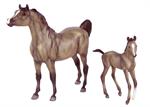 Rose Grey model horses. Arab stallion and foal.